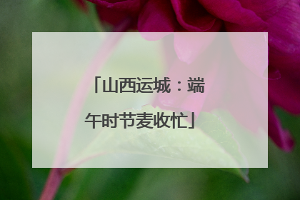 山西运城：端午时节麦收忙