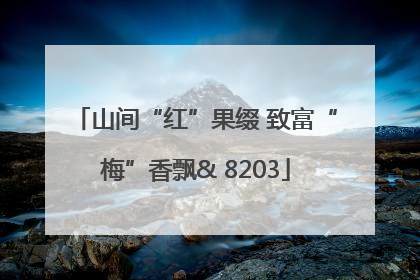 山间“红”果缀 致富“梅”香飘& 8203
