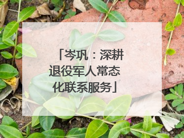 岑巩：深耕退役军人常态化联系服务