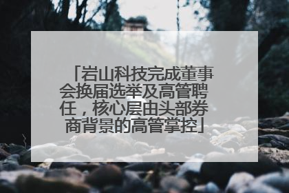 岩山科技完成董事会换届选举及高管聘任，核心层由头部券商背景的高管掌控