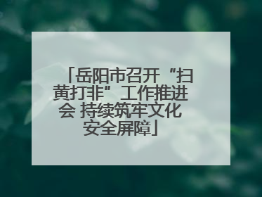 岳阳市召开“扫黄打非”工作推进会 持续筑牢文化安全屏障