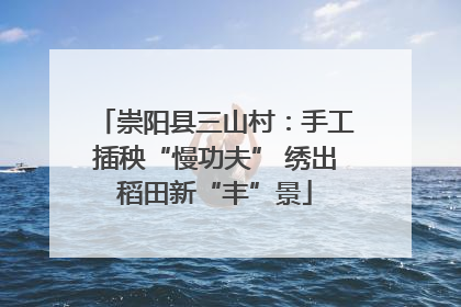 崇阳县三山村：手工插秧“慢功夫” 绣出稻田新“丰”景
