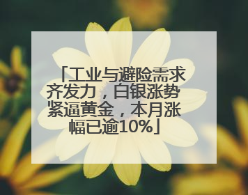 工业与避险需求齐发力，白银涨势紧逼黄金，本月涨幅已逾10%