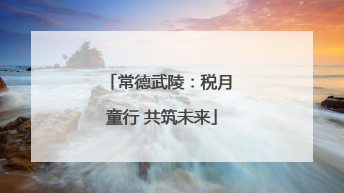 常德武陵：税月童行 共筑未来