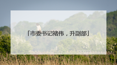 市委书记褚伟，升副部