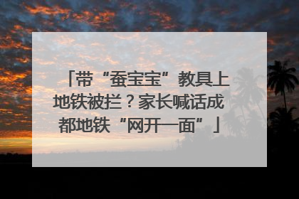 带“蚕宝宝”教具上地铁被拦？家长喊话成都地铁“网开一面”