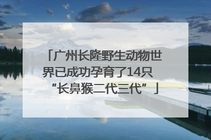 广州长隆野生动物世界已成功孕育了14只“长鼻猴二代三代”