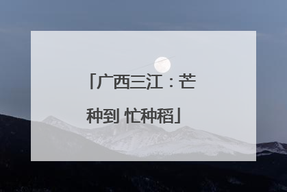 广西三江：芒种到 忙种稻