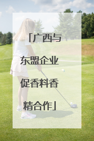 广西与东盟企业促香料香精合作