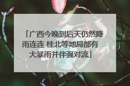 广西今晚到后天仍然降雨连连 桂北等地局部有大暴雨并伴强对流