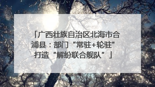 广西壮族自治区北海市合浦县：部门“常驻+轮驻”打造“解纷联合舰队”