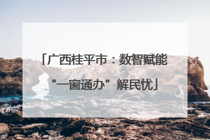 广西桂平市：数智赋能“一窗通办”解民忧