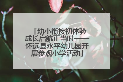 幼小衔接初体验 成长启航正当时——怀远县永平幼儿园开展参观小学活动
