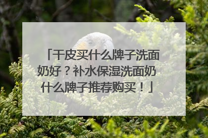 干皮买什么牌子洗面奶好？补水保湿洗面奶什么牌子推荐购买！