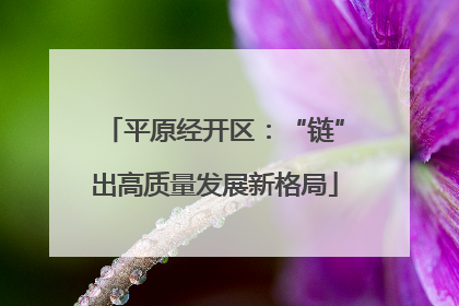 平原经开区：“链”出高质量发展新格局