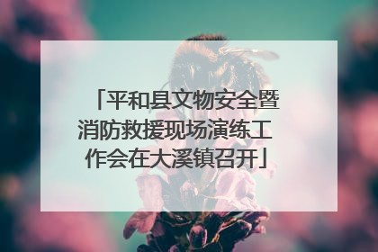 平和县文物安全暨消防救援现场演练工作会在大溪镇召开