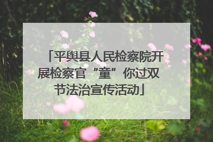 平舆县人民检察院开展检察官“童”你过双节法治宣传活动