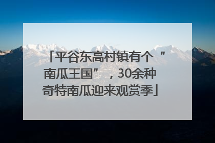 平谷东高村镇有个“南瓜王国”，30余种奇特南瓜迎来观赏季