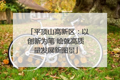 平顶山高新区：以创新为笔 绘就高质量发展新图景