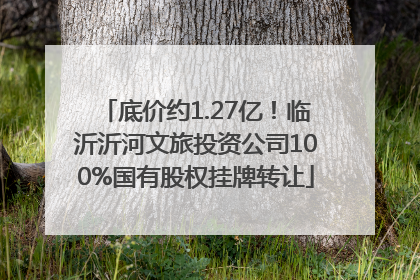 底价约1.27亿！临沂沂河文旅投资公司100%国有股权挂牌转让