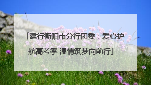建行衡阳市分行团委：爱心护航高考季 温情筑梦向前行
