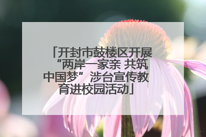 开封市鼓楼区开展“两岸一家亲 共筑中国梦”涉台宣传教育进校园活动