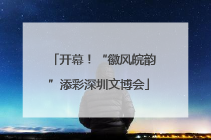 开幕！“徽风皖韵”添彩深圳文博会
