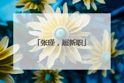 张瑾，履新职