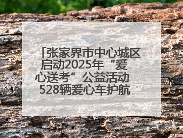 张家界市中心城区启动2025年“爱心送考”公益活动 528辆爱心车护航高考学子