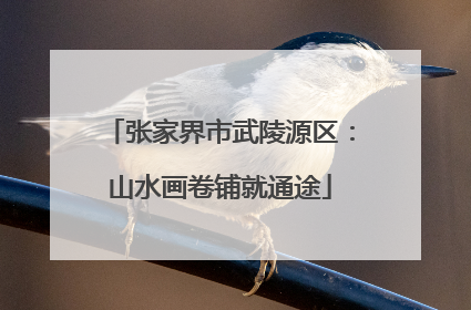 张家界市武陵源区：山水画卷铺就通途