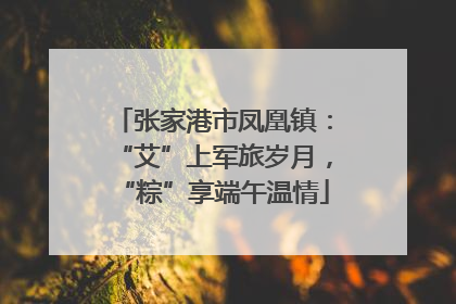 张家港市凤凰镇：“艾”上军旅岁月，“粽”享端午温情
