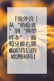 弦外音｜从“免疫者”到“典型样本”：葡萄牙极右翼崛起背后的欧洲困局