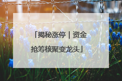 揭秘涨停｜资金抢筹核聚变龙头