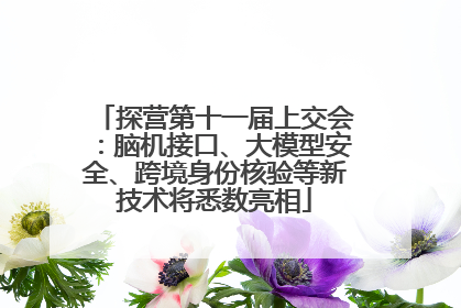 探营第十一届上交会：脑机接口、大模型安全、跨境身份核验等新技术将悉数亮相