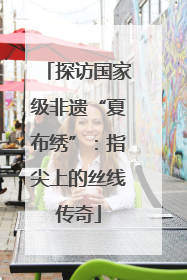 探访国家级非遗“夏布绣”：指尖上的丝线传奇