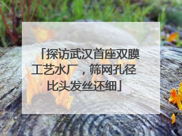 探访武汉首座双膜工艺水厂，筛网孔径比头发丝还细