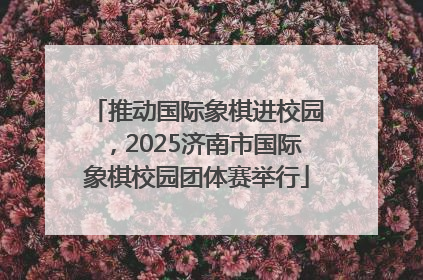 推动国际象棋进校园，2025济南市国际象棋校园团体赛举行