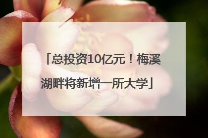 总投资10亿元！梅溪湖畔将新增一所大学