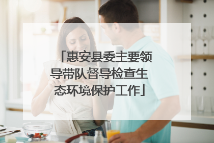 惠安县委主要领导带队督导检查生态环境保护工作