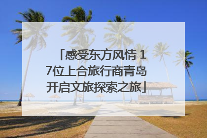 感受东方风情 17位上合旅行商青岛开启文旅探索之旅