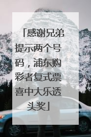 感谢兄弟提示两个号码，浦东购彩者复式票喜中大乐透头奖