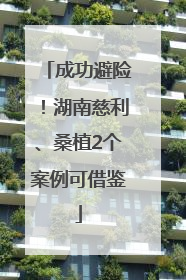 成功避险！湖南慈利、桑植2个案例可借鉴