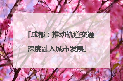 成都：推动轨道交通深度融入城市发展
