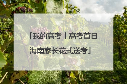 我的高考丨高考首日 海南家长花式送考