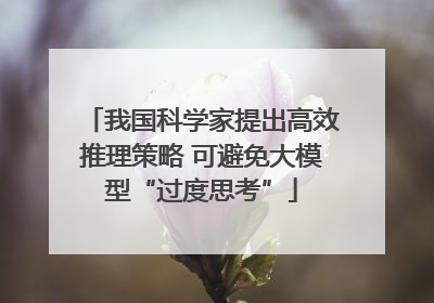 我国科学家提出高效推理策略 可避免大模型“过度思考”