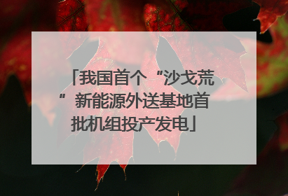 我国首个“沙戈荒”新能源外送基地首批机组投产发电
