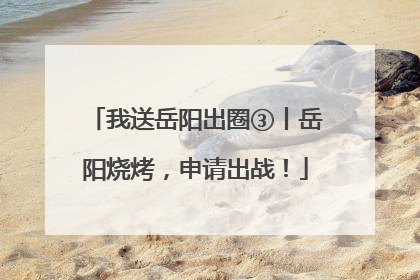 我送岳阳出圈③丨岳阳烧烤，申请出战！