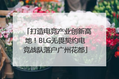 打造电竞产业创新高地！BLG无畏契约电竞战队落户广州花都