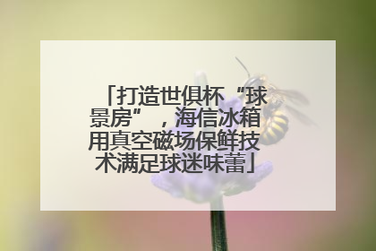 打造世俱杯“球景房”，海信冰箱用真空磁场保鲜技术满足球迷味蕾