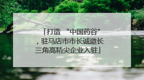 打造 “中国药谷”，驻马店市市长诚邀长三角高精尖企业入驻